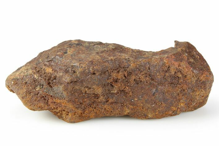 Chondrite Meteorite ( g) - Western Sahara Desert #256571